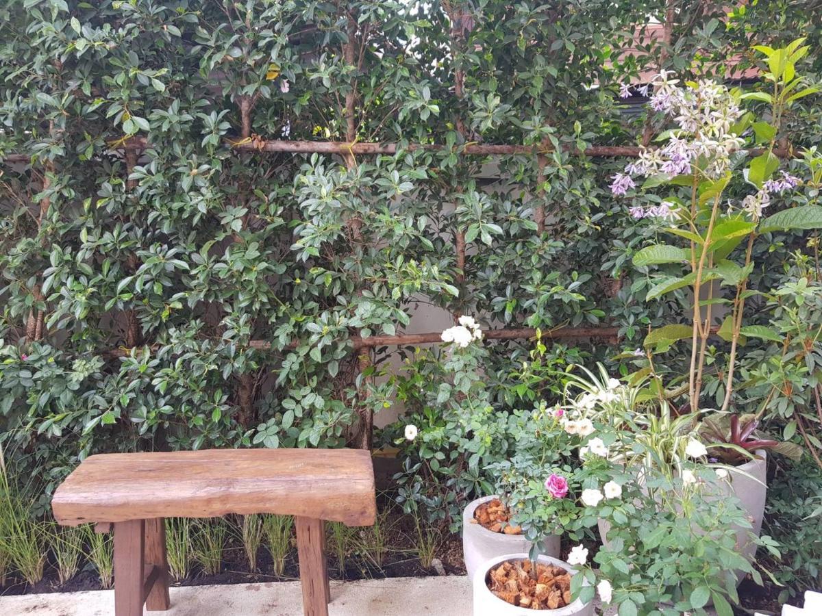 Hotel Rosy Chiang Mai Buitenkant foto
